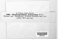 Fusicladium asteroma image